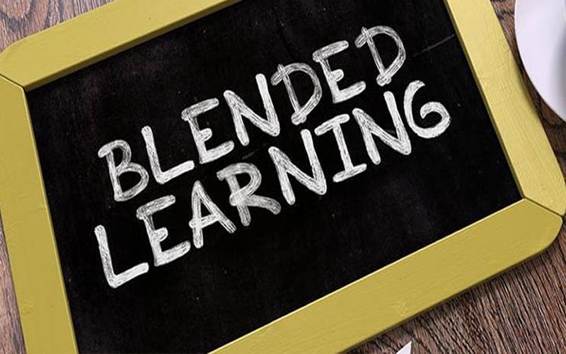 Educational experts on the viability of Blended learning mode