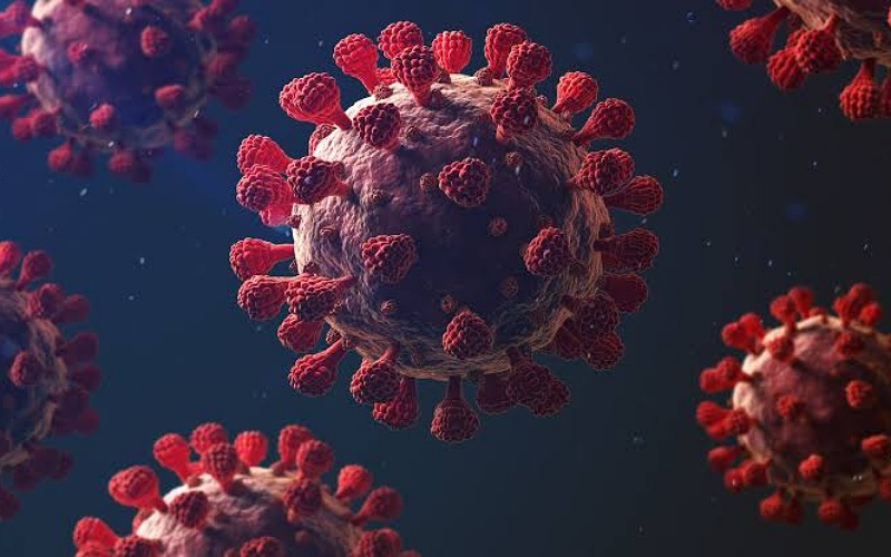 Corona virus cases may increase in Eastern Europe : Global Health Organization