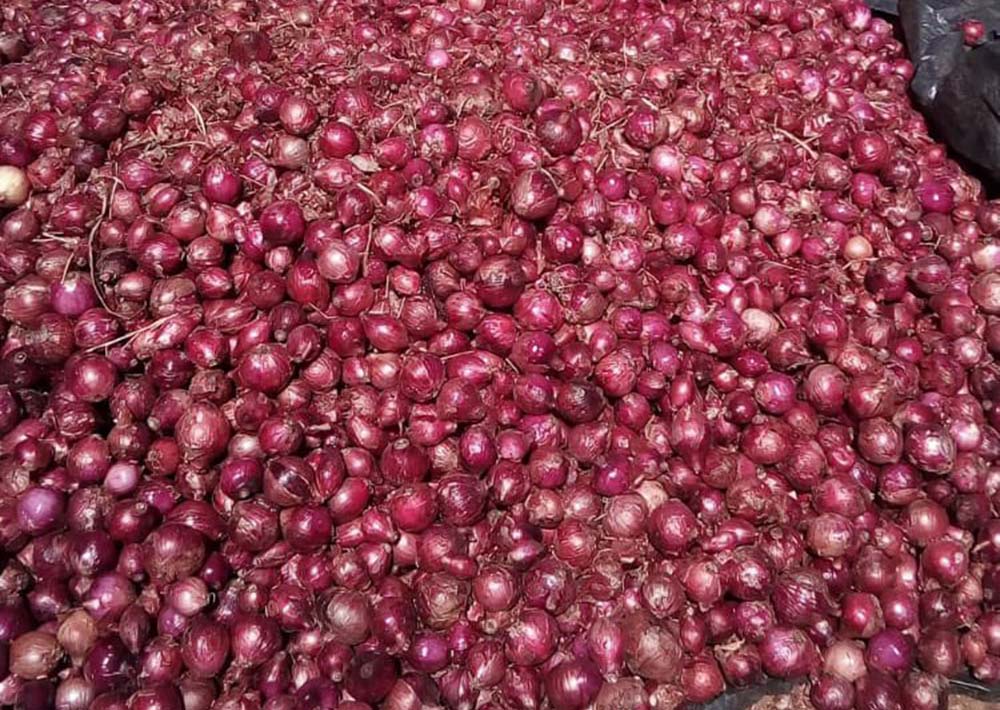 Onion Price Rise: Govt imposes stock limit from October 23