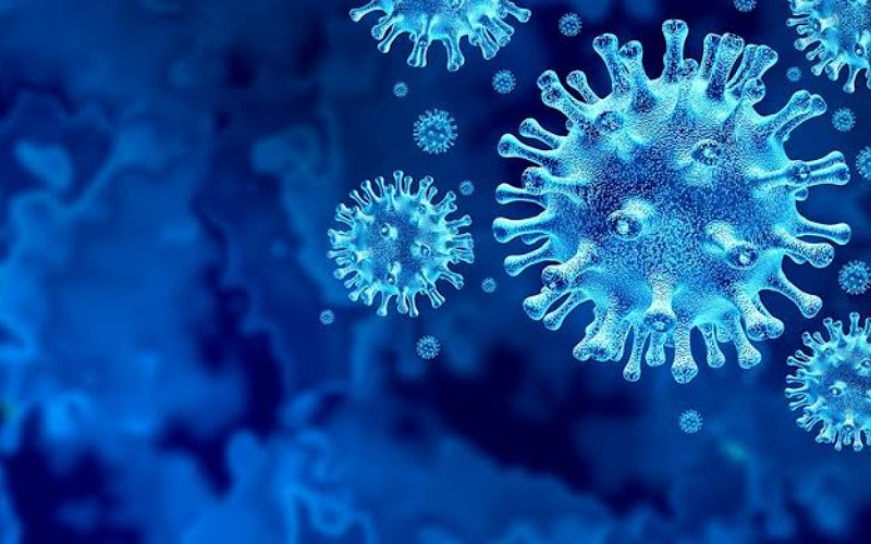 Covid 19 Updates : 17,336 new cases of Covid found in the last 24 hours