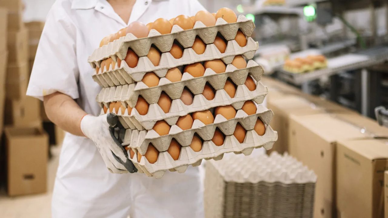 Egg Prices in US Surge to ₹860 per Dozen Amid Bird Flu Outbreak