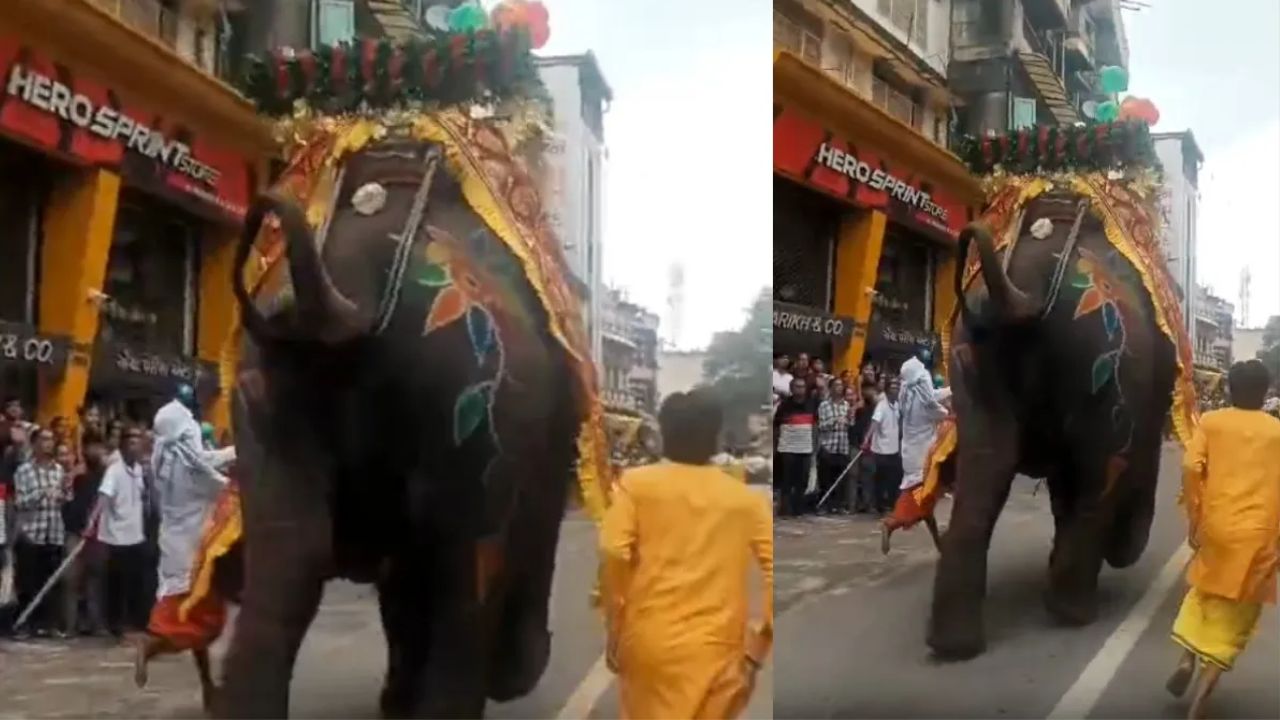 Chaos at Ahmedabad’s Jagannath Rath Yatra as Elephants Run Amok, Several Injured