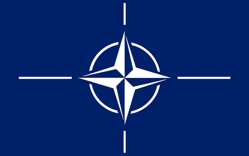 Finland and Sweden move forward for NATO Membership