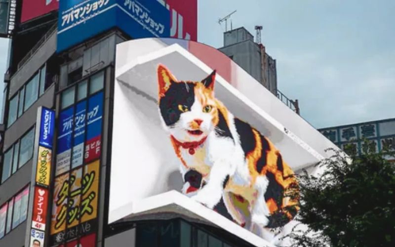 Head Turner – Japan’s 3D cat billboard is something you can't take your eyes off