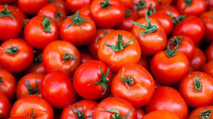 Tomato costs expected to fall in Dec with devour in arrivals: Govt