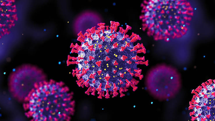 Corona LIVE in the country: First case of Omicron found in Delhi, returned from Tanzania infected; 5 cases of new variant in 4 days
