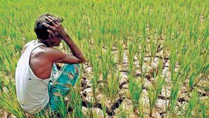 How to register, check beneficiary and revise mistakes on the portal of the 10th installment of PM Kisan Samman Nidhi Yojana